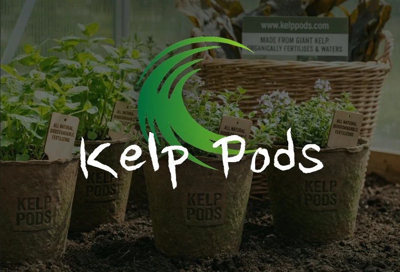 Herbs growing in Kelp Pods in a greenhouse, with the Kelp Pods logo